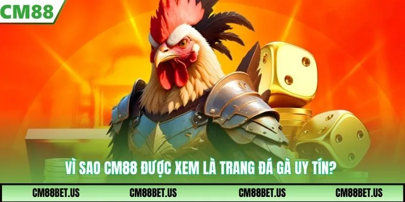 Vì sao CM88 được xem là trang đá gà uy tín?